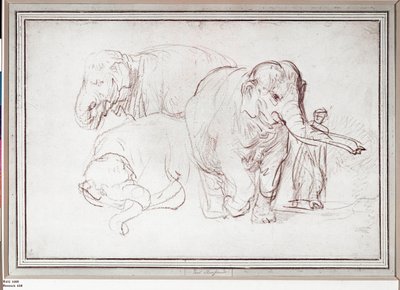  da Rembrandt Harmensz. van Rijn