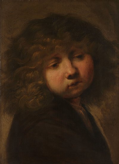 Testa di un ragazzo da Rembrandt van Rijn (circle of)