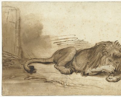 Leone sdraiato con la zampa anteriore sul muso da Rembrandt van Rijn (school of)