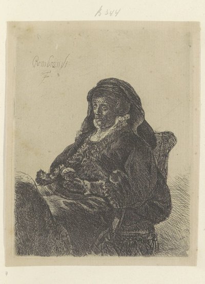 La madre di Rembrandt come vedova con guanti neri da Rembrandt van Rijn (school of)