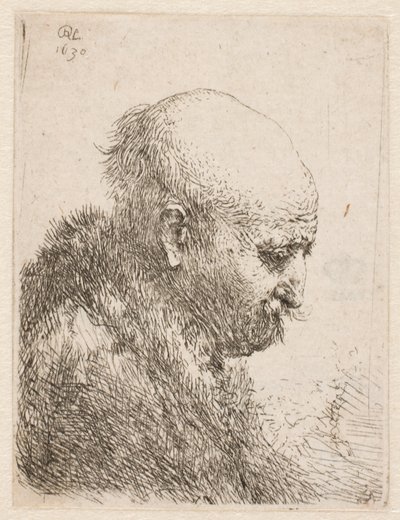  da Rembrandt van Rijn