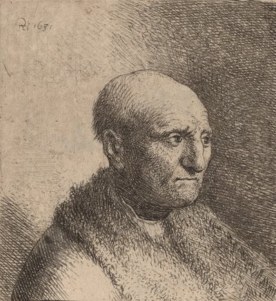Uomo Calvo in un Mantello di Pelliccia da Rembrandt van Rijn