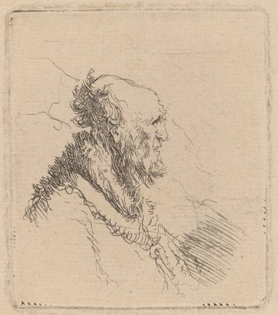 Vecchio calvo con barba corta di profilo da Rembrandt van Rijn