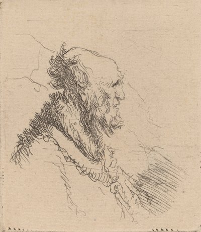 Vecchio calvo con barba corta di profilo da Rembrandt van Rijn