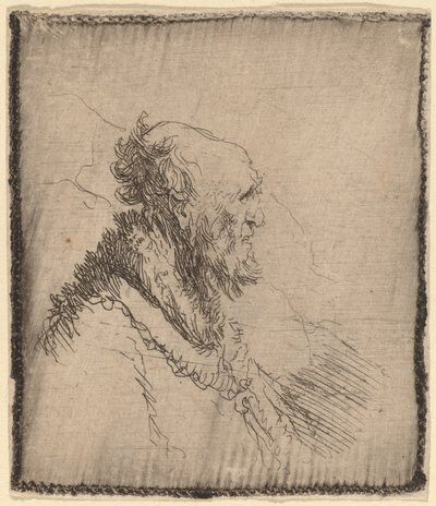 Vecchio Calvo con una Barba Corta di Profilo, c. 1635 da Rembrandt van Rijn