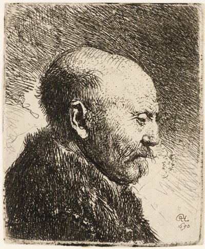 Uomo calvo di profilo a destra: padre di Rembrandt da Rembrandt van Rijn