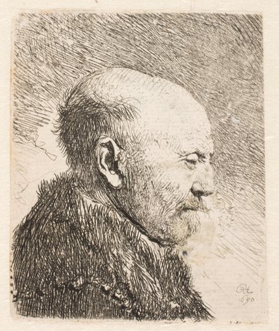 Uomo calvo di profilo (padre di Rembrandt?) da Rembrandt van Rijn