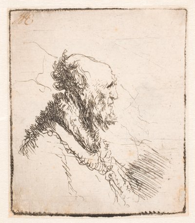 Vecchio calvo con barba corta, di profilo a destra da Rembrandt van Rijn