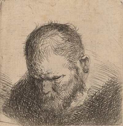 Uomo barbuto che guarda in basso, forse 1631 da Rembrandt van Rijn