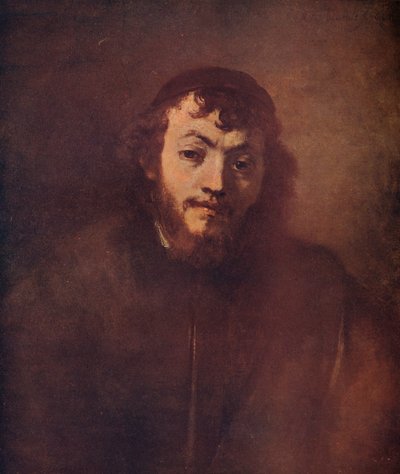 Busto di un giovane barbuto con zucchetto, 1663 da Rembrandt van Rijn