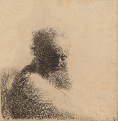 Busto di un vecchio barbuto, guardando in basso, tre quarti a destra da Rembrandt van Rijn