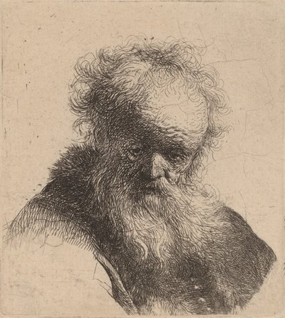 Busto di un vecchio con barba fluente e manica bianca, c. 1630 da Rembrandt van Rijn