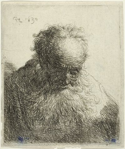 Busto di un vecchio con barba fluente: la testa inclinata in avanti: spalla sinistra non ombreggiata da Rembrandt van Rijn