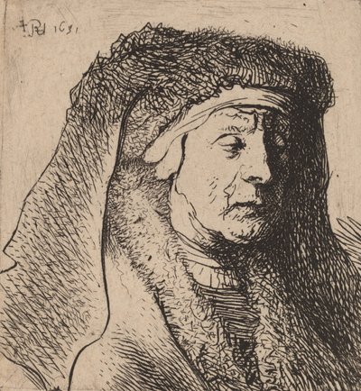 Busto di una vecchia donna con mantello di pelliccia e copricapo pesante da Rembrandt van Rijn