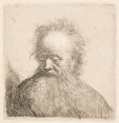  da Rembrandt van Rijn
