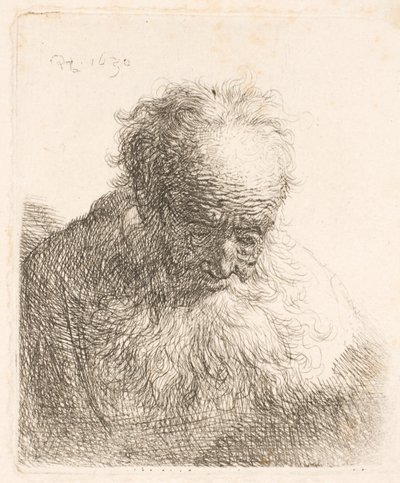  da Rembrandt van Rijn