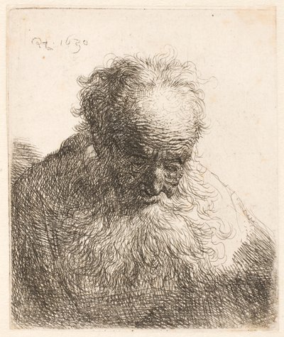  da Rembrandt van Rijn