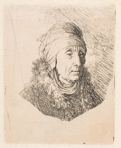 Busto di una donna anziana con un copricapo alto legato sotto il mento da Rembrandt van Rijn