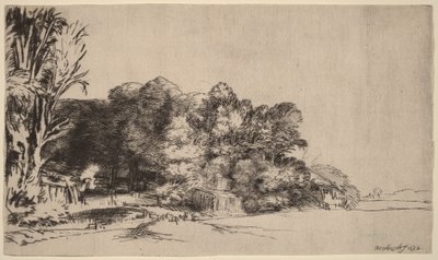 Gruppo di alberi con vista panoramica da Rembrandt van Rijn