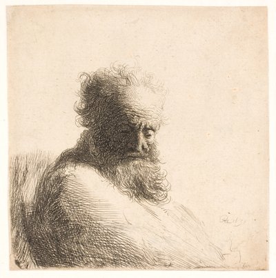 Vecchio, uomo barbuto. Busto da Rembrandt van Rijn