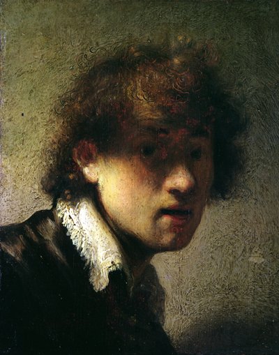 Testa di un giovane o autoritratto, 1629 da Rembrandt van Rijn