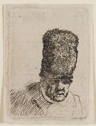 Testa di un anziano con un berretto di pelliccia: busto da Rembrandt van Rijn