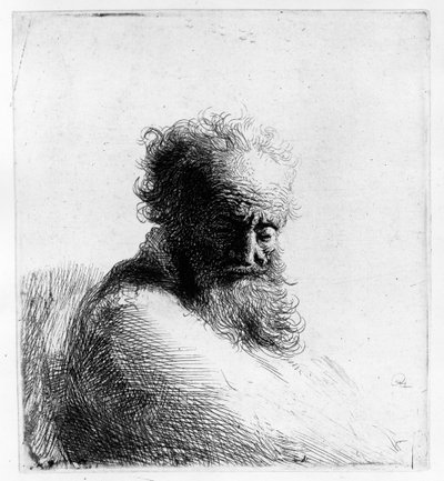 Testa di un vecchio, 1631 da Rembrandt van Rijn