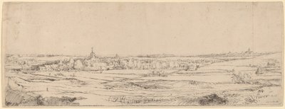 Paesaggio con vista verso Haarlem (Il campo del pesatore d