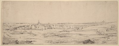 Paesaggio con vista verso Haarlem (Il campo dei pesatori d