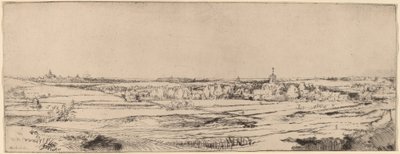 Paesaggio con vista verso Haarlem (Il campo del pesatore d