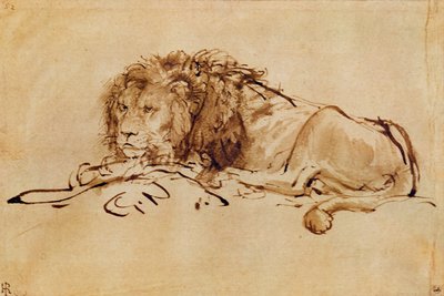 Leone a riposo da Rembrandt van Rijn