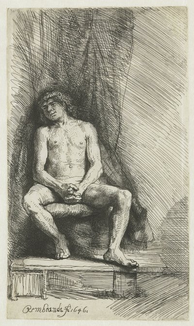 Giovane uomo nudo, seduto davanti a una tenda da Rembrandt van Rijn
