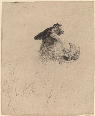 Vecchio che si ripara gli occhi con la mano da Rembrandt van Rijn