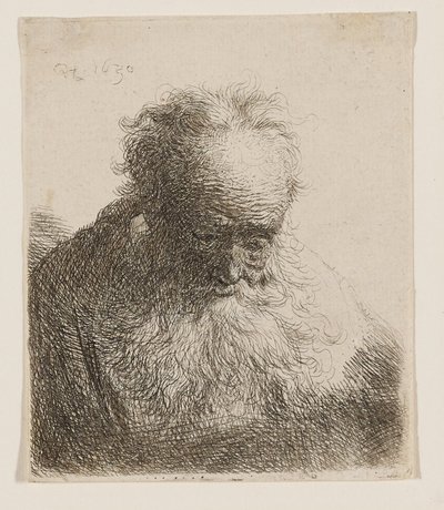  da Rembrandt van Rijn
