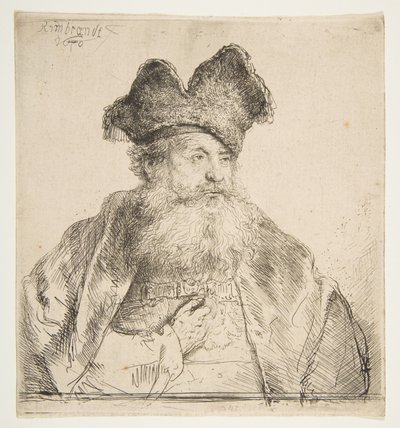 Vecchio con cappello di pelliccia diviso da Rembrandt van Rijn