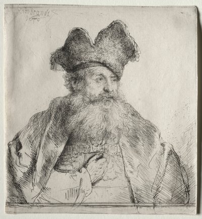Vecchio con un cappello di pelliccia diviso da Rembrandt van Rijn