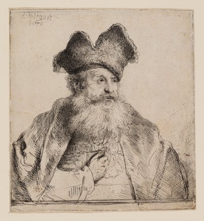 Vecchio con cappello di pelliccia diviso da Rembrandt van Rijn