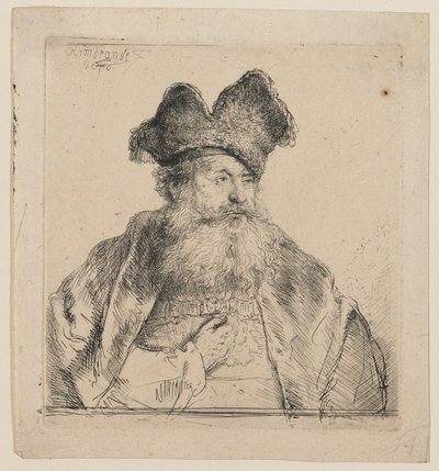Vecchio con un berretto di pelliccia diviso in due da Rembrandt van Rijn