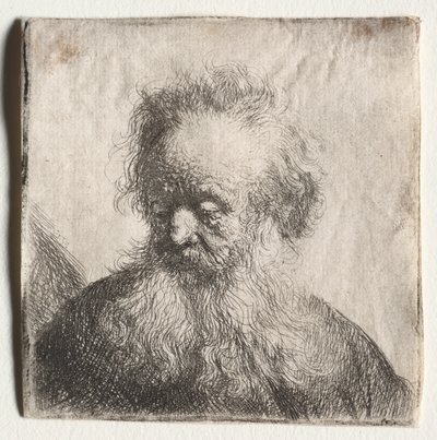 Vecchio con barba fluente: busto da Rembrandt van Rijn