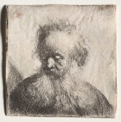 Vecchio con barba fluente: Busto, 1631 da Rembrandt van Rijn