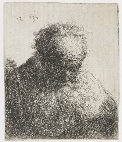 Vecchio con barba fluente, spalla sinistra non ombreggiata da Rembrandt van Rijn