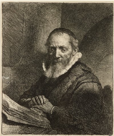Ritratto di Jan Cornelis Sylvius, predicatore da Rembrandt van Rijn
