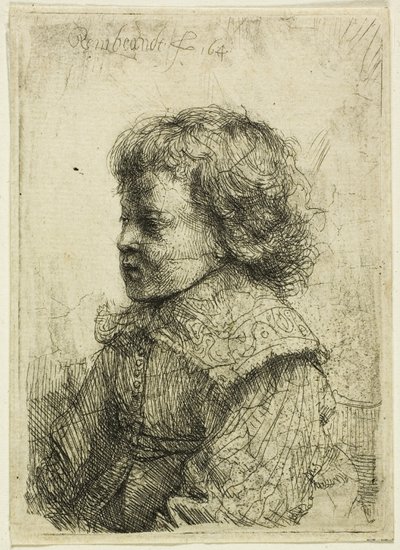 Ritratto di un ragazzo da Rembrandt van Rijn