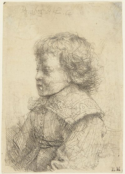 Ritratto di un ragazzo da Rembrandt van Rijn
