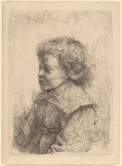 Ritratto di un ragazzo di profilo da Rembrandt van Rijn