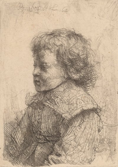 Ritratto di un ragazzo di profilo da Rembrandt van Rijn