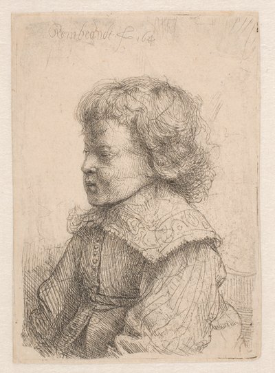 Ritratto di un ragazzo, di profilo da Rembrandt van Rijn