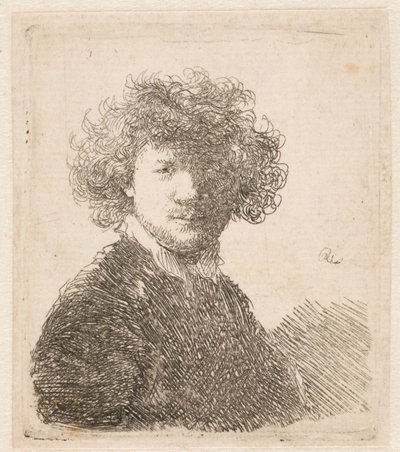 Rembrandt a capo scoperto, con folti capelli ricci e un piccolo colletto bianco: busto da Rembrandt van Rijn