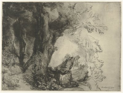 San Francesco sotto un albero, in preghiera da Rembrandt van Rijn