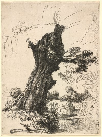 San Girolamo accanto a un salice capitozzato da Rembrandt van Rijn